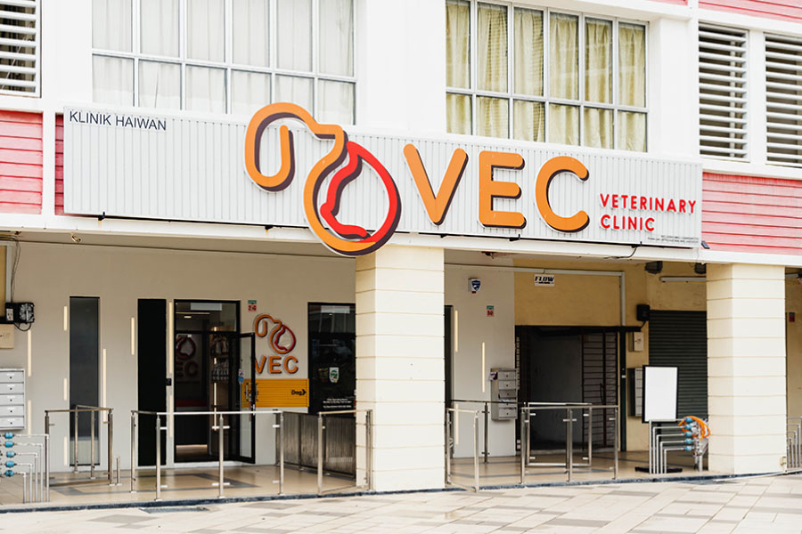 VEC-Veterinary-Clinic-Image-2