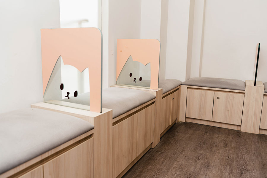 VEC-Veterinary-Clinic-Image-4