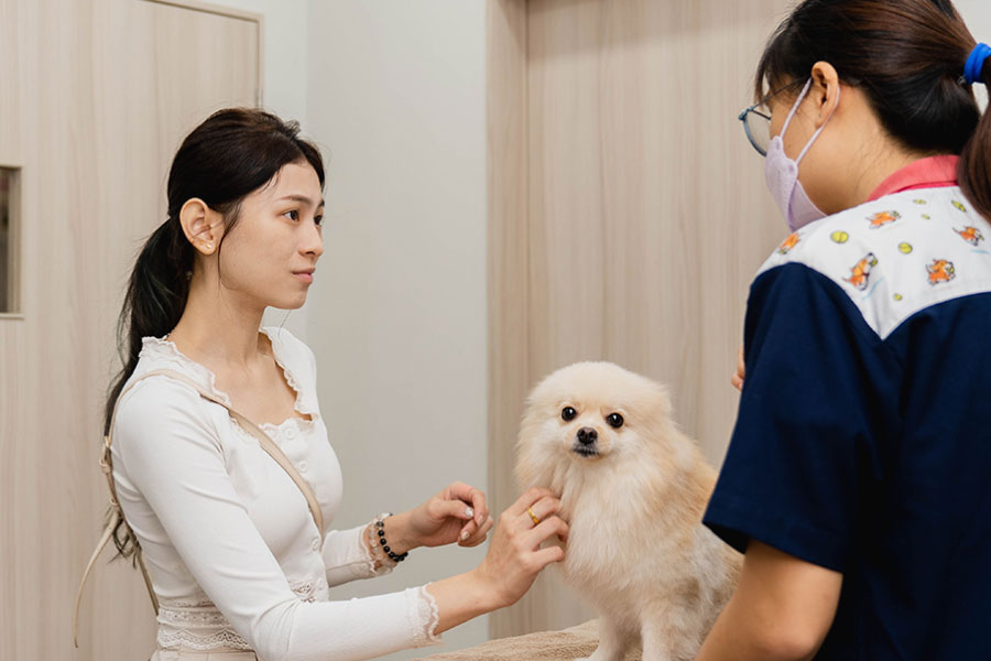 VEC-Veterinary-Clinic-Image-5